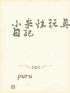 小米性玩具羞辱日记
