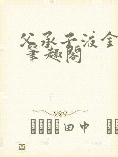 父承子液金银花 笔趣阁封面