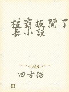 校霸扳开了小班长小说