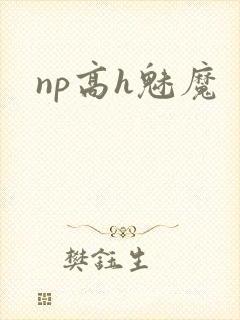 np高h魅魔