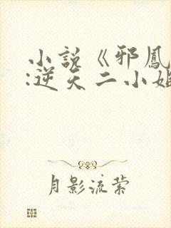 小说《邪凤重生:逆天二小姐》