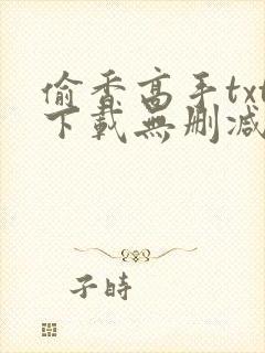 偷香高手txt下载无删减