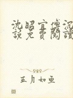 沈昭宜傅沉砚小说免费阅读最新章节封面