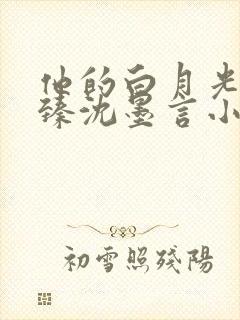 他的白月光尹臻臻沈墨言小说免费阅读