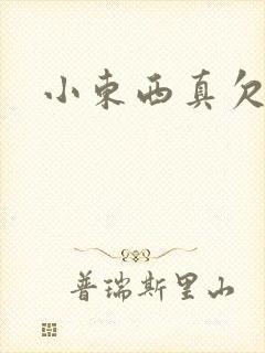 小东西真欠弄封面