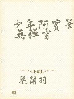 少年阿宾笔趣阁 无弹窗