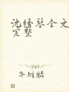 沈绣琴全文阅读完整封面