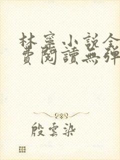 林宁小说全文免费阅读无弹窗