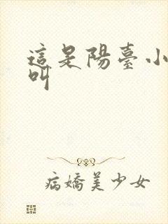 这是阳台小点声叫封面