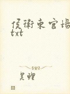 侯卫东官场笔记txt