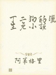 丁二狗的猎艳人生免小说