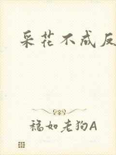 采花不成反被采封面