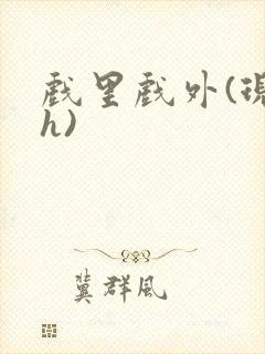 戏里戏外(现场h)