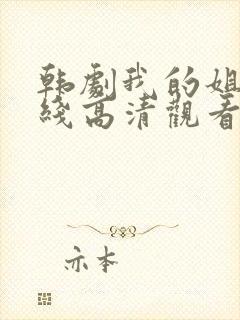 韩剧我的姐姐在线高清观看封面