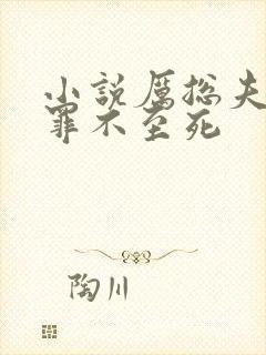 小说厉总夫人她罪不至死