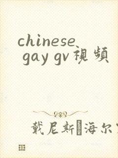chinese gay gv视频