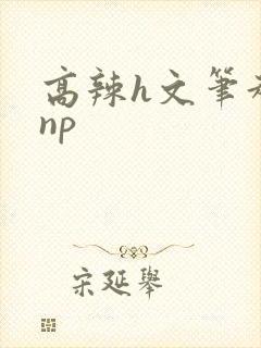 高辣h文笔趣阁np