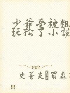 少爷受被粗汉H玩松了小说