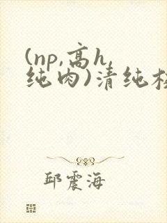 (np,高h,纯肉)清纯校花