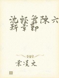 沈轻舞陈六何最新章节封面