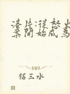 港片:从怒火重案开始成为大亨