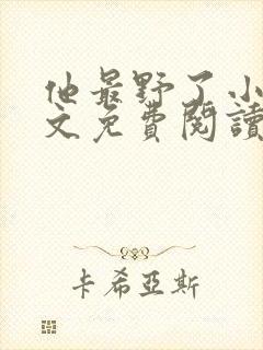 他最野了小说全文免费阅读无弹窗