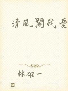 清风阁我爱千封面