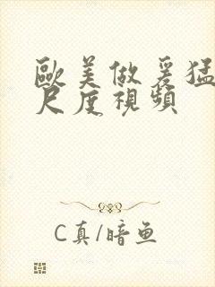 欧美做爰猛烈大尺度视频