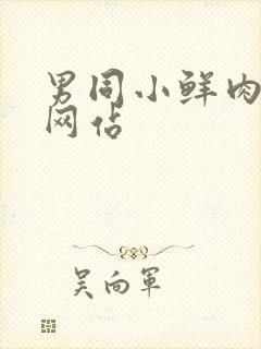 男同小鲜肉gv网站封面