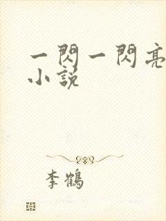 一闪一闪亮星星小说