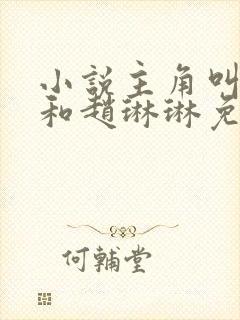 小说主角叫陈凡和赵琳琳免费阅读