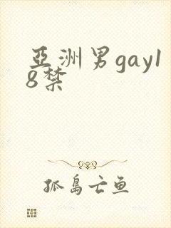 亚洲男gay18禁
