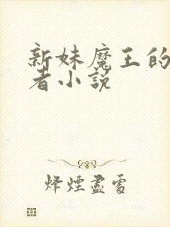 新妹魔王的契约者小说