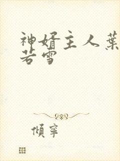 神婿主人叶凡唐若雪