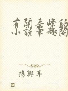 有关秦峰的官场小说笔趣阁