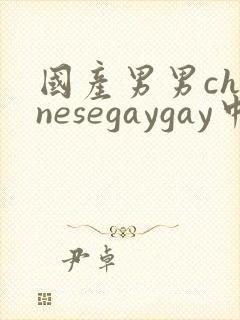 国产男男chinesegaygay中国帅哥网站