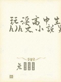 玩淫高中生(高h)h文小说男男封面