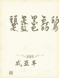 头是黑色的尾巴是蓝色的鸟封面