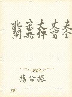 北宋大丈夫笔趣阁无弹窗全文阅读封面