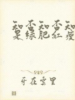 知否知否知否应是绿肥红瘦在线播放