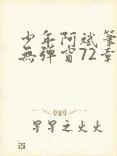 少年阿斌笔趣阁无弹窗72章