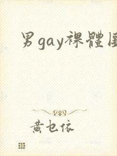 男gay裸体图