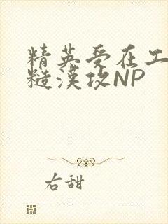 精英受在工地被糙汉攻NP封面