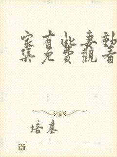 家有此妻动漫全集免费观看封面