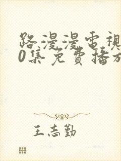 路漫漫电视剧40集免费播放