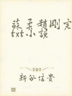 苏柔赵刚完整版txt小说