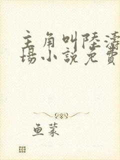 主角叫陆涛的官场小说免费阅读