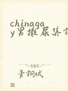 chinagay男撒尿集锦