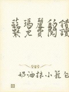 苏玛丽的错位关系免费阅读封面