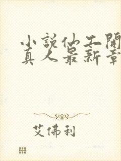 小说仙工开物蛊真人最新章节列表列表